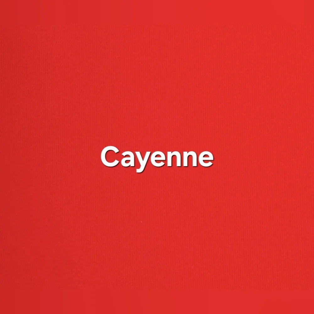 💕NWT SKIMS Fits Everybody Push Up Bodysuit Lace Red Cayenne L - Picture 9 of 10